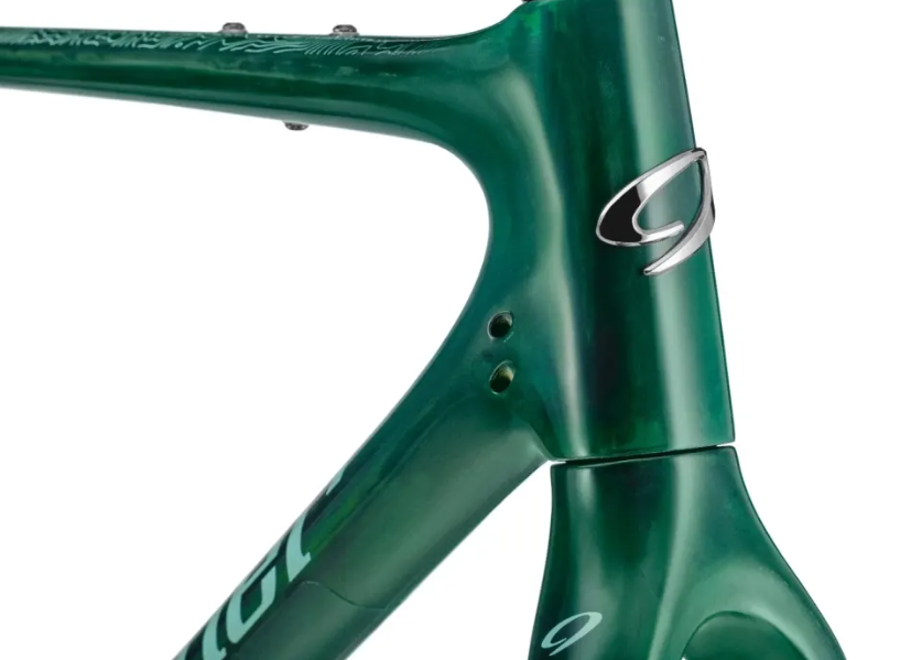Niner ORE 9 RDO Frameset - Transparent Green