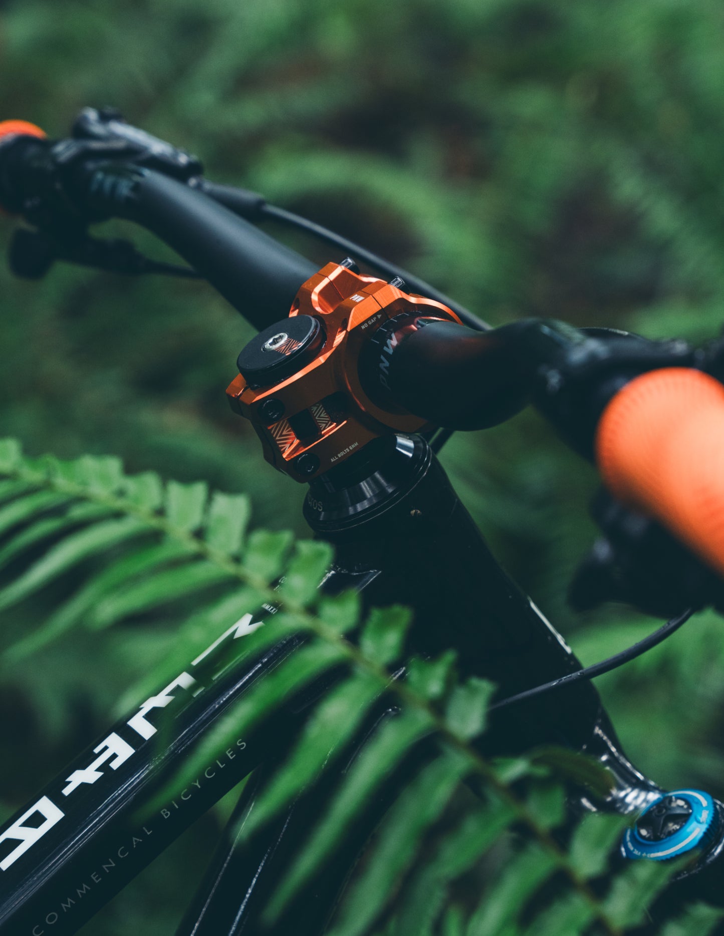 PNW Loam 31.8 MTB Stem - Blood Orange