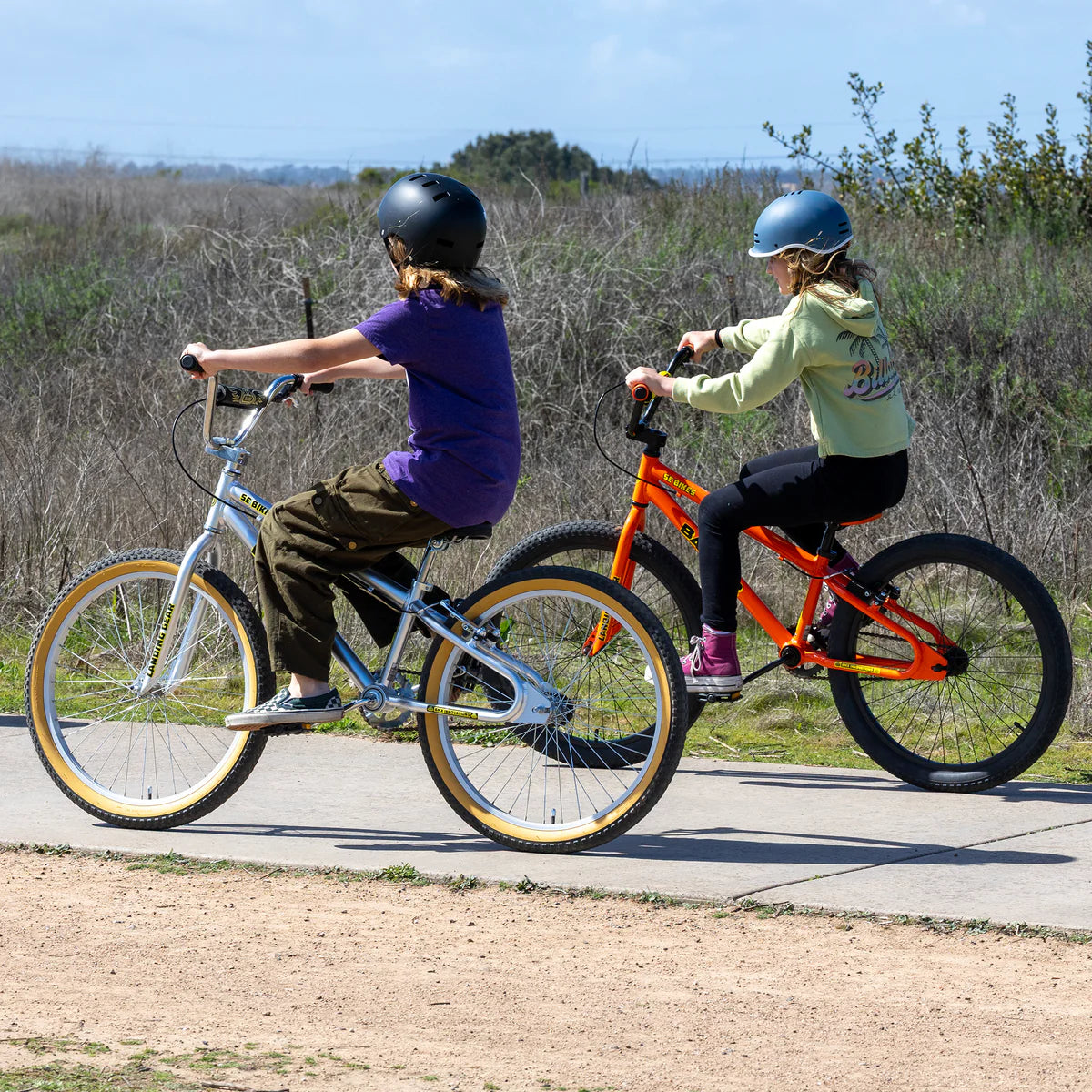 SE Bikes Basher 24" - Silver Streak