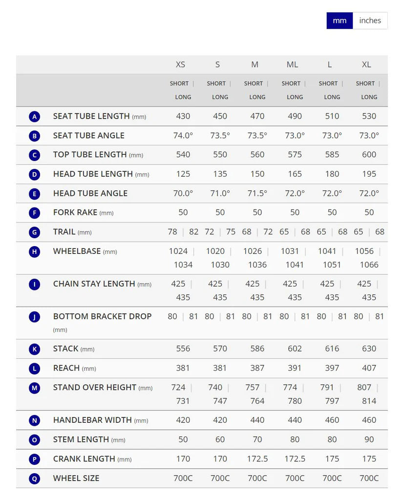 Giant Revolt Advanced 2 700c - Starry Night - 2022