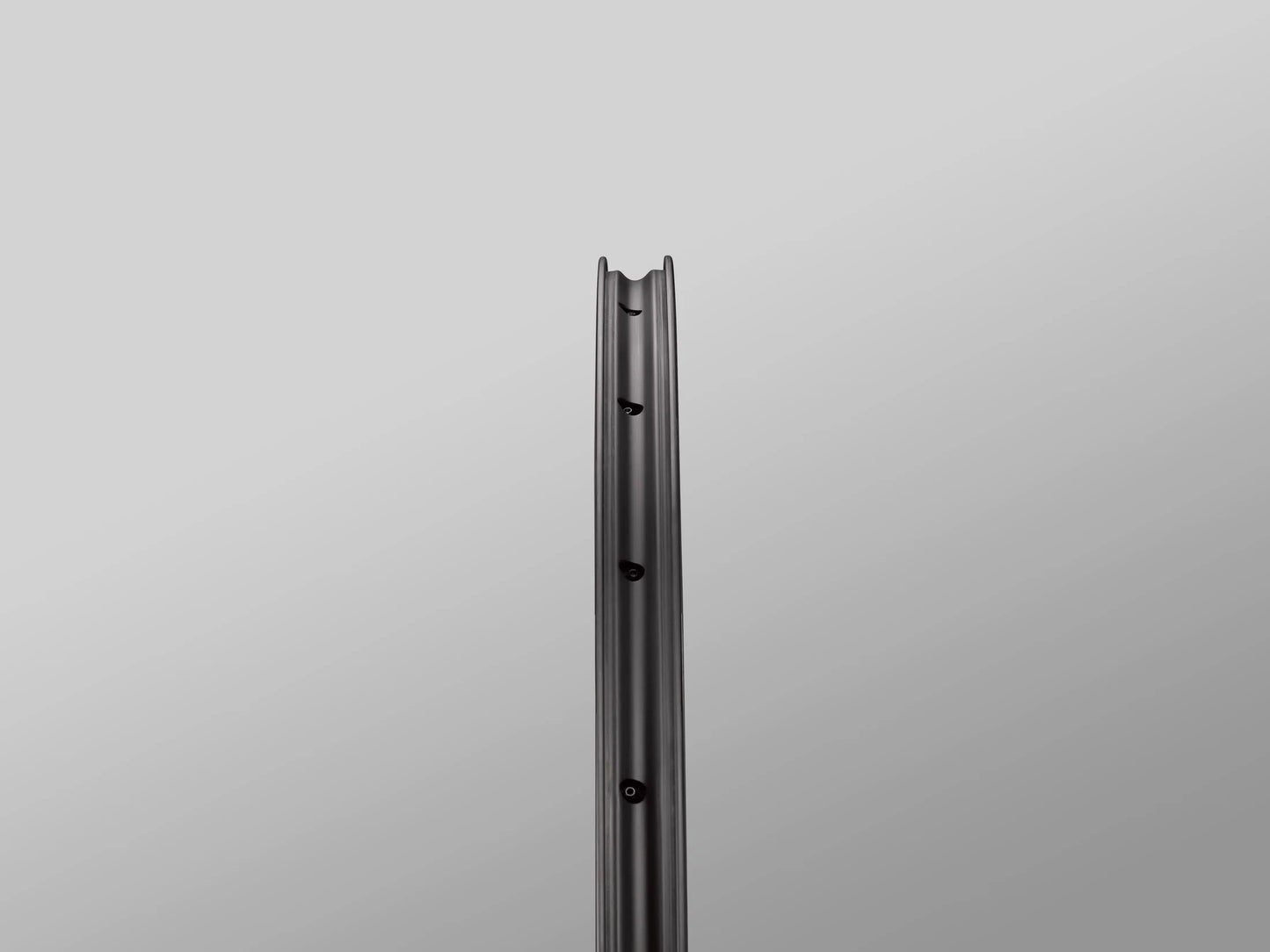 Reserve Wheels Reserve 25 DT350 700c Carbon Gravel Wheelset