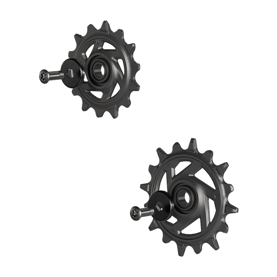 SRAM Eagle 90/70 T-Type Rear Pulley Kit