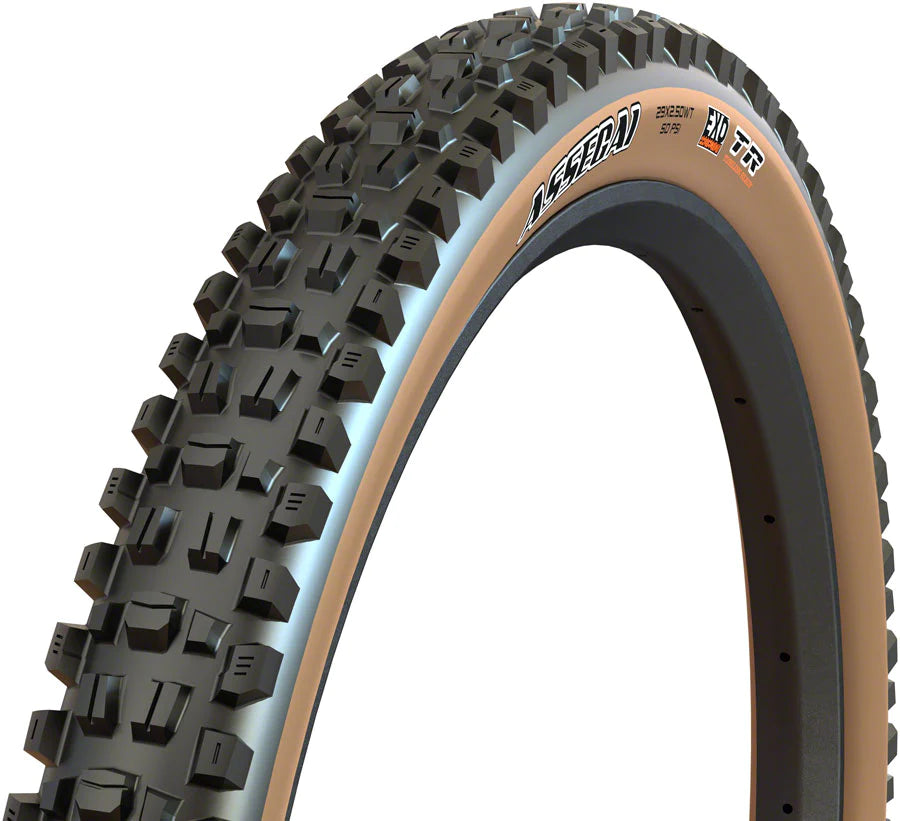Maxxis Assegai 29 Folding MTB Tire EXO Tan Cambria Bike