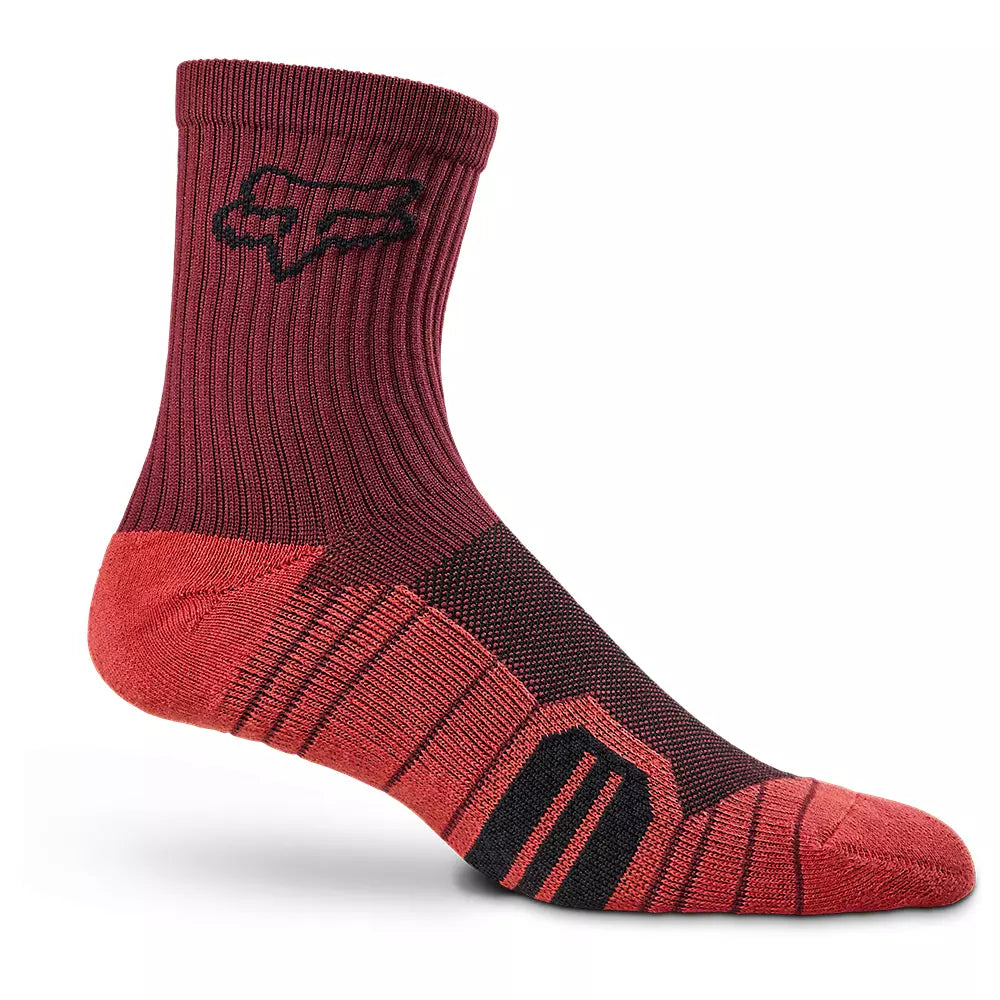 Fox Racing 6" Ranger Cushion Sock - Dark Maroon - 2022 Dark Maroon Small/Medium