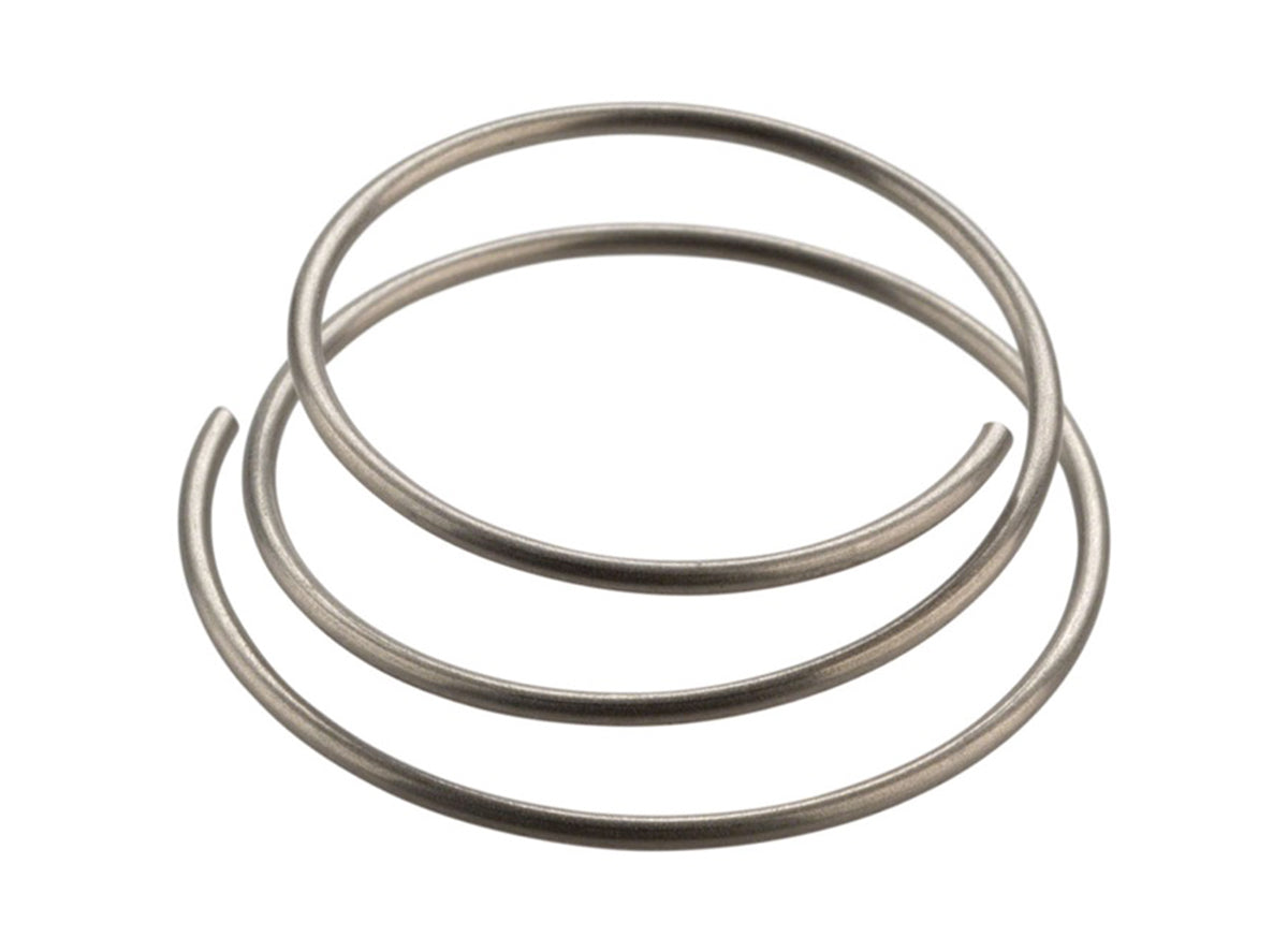 DT Swiss Star Ratchet Spring Silver Each