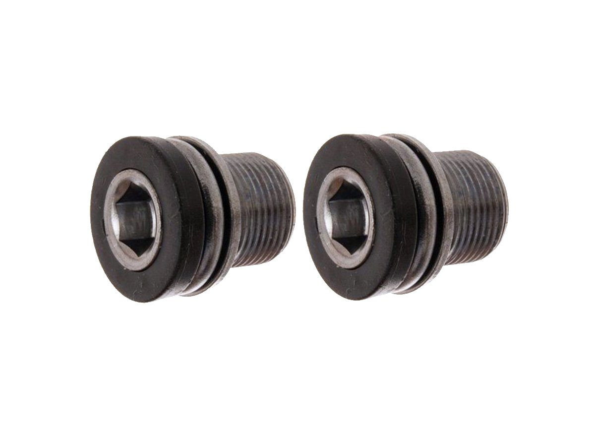 FSA ISIS Crank Bolts - Pair - Black Black M15