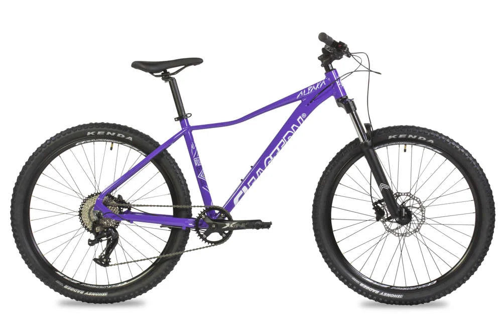 Eastern Alpaka 27.5 MTB Hardtail Bike - Purple – Cambria Bike