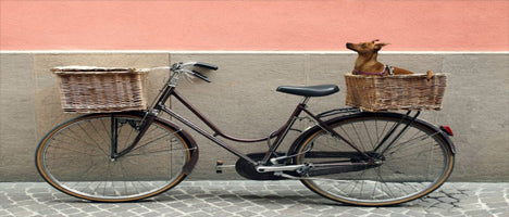 Public Bikes Front Bike Basket - Honey