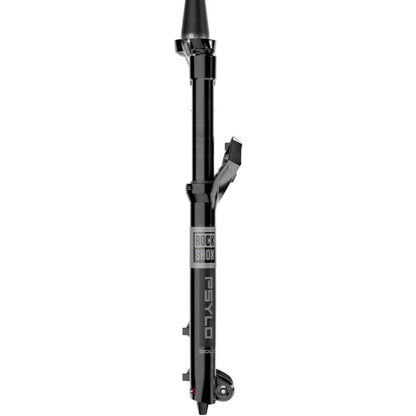 RockShox Psylo Gold Isolator RC 160 29 15TAx110 - Gloss Black