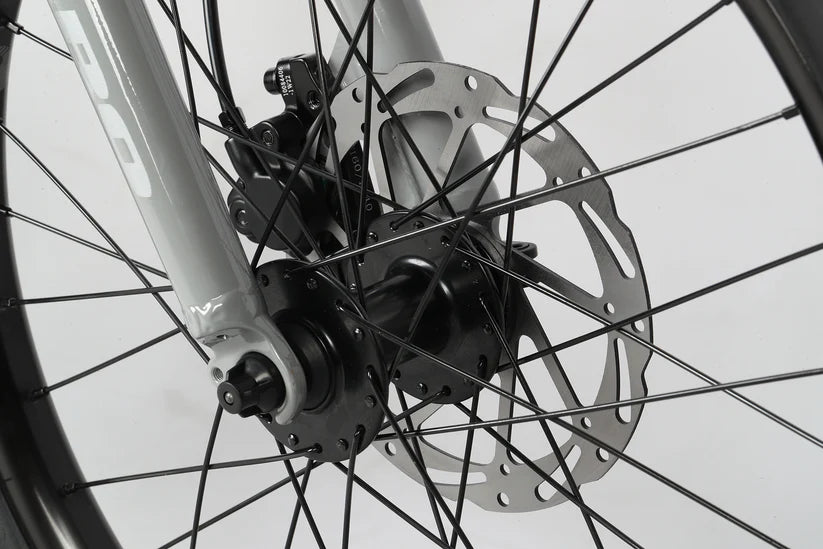 Haro Flightline 20" Plus Disc Kids Bike - Cool Gray