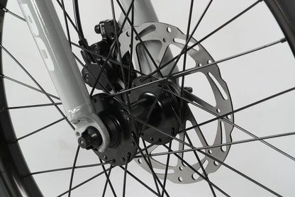 Haro Flightline 20" Plus Disc Kids Bike - Cool Gray