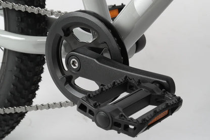 Haro Flightline 20" Plus Disc Kids Bike - Cool Gray