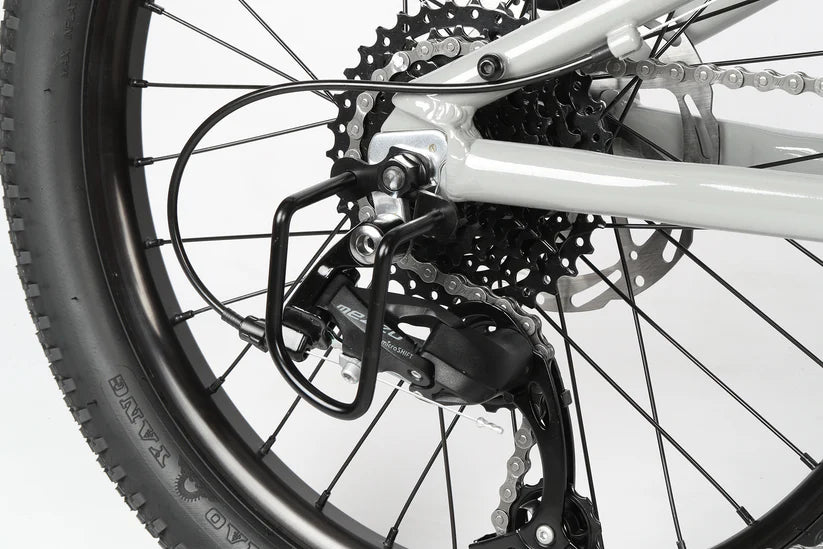 Haro Flightline 20" Plus Disc Kids Bike - Cool Gray