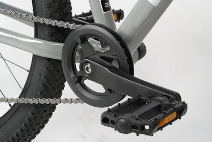 Haro Flightline 24" Plus Disc Kids Bike - Cool Gray