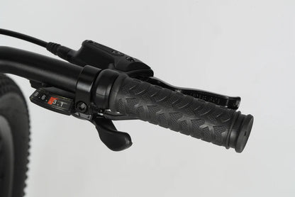 Haro Flightline 24" Plus Disc Kids Bike - Cool Gray