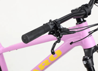Haro Saguaro 2 29" - Matte Mauve