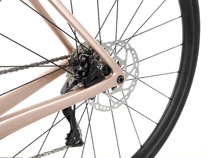 Haro Rivette Carbon 2 700c - Gloss Rose-Gold