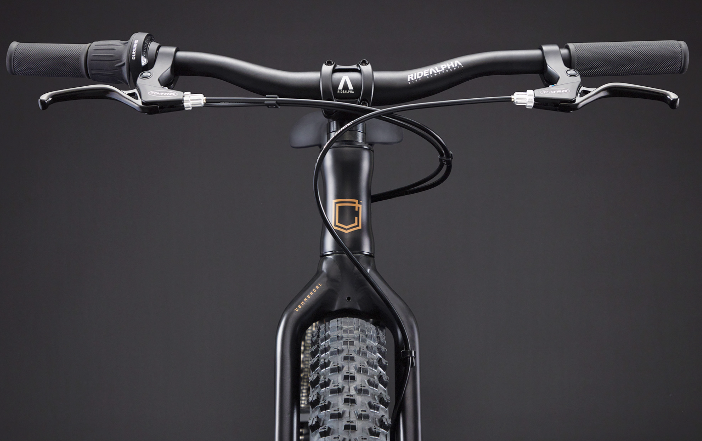 Commencal Ramones 20 Kids Bike - Black