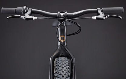 Commencal Ramones 20 Kids Bike - Black