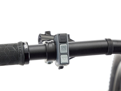 Kona El Kahuna 29 - Gloss Plum