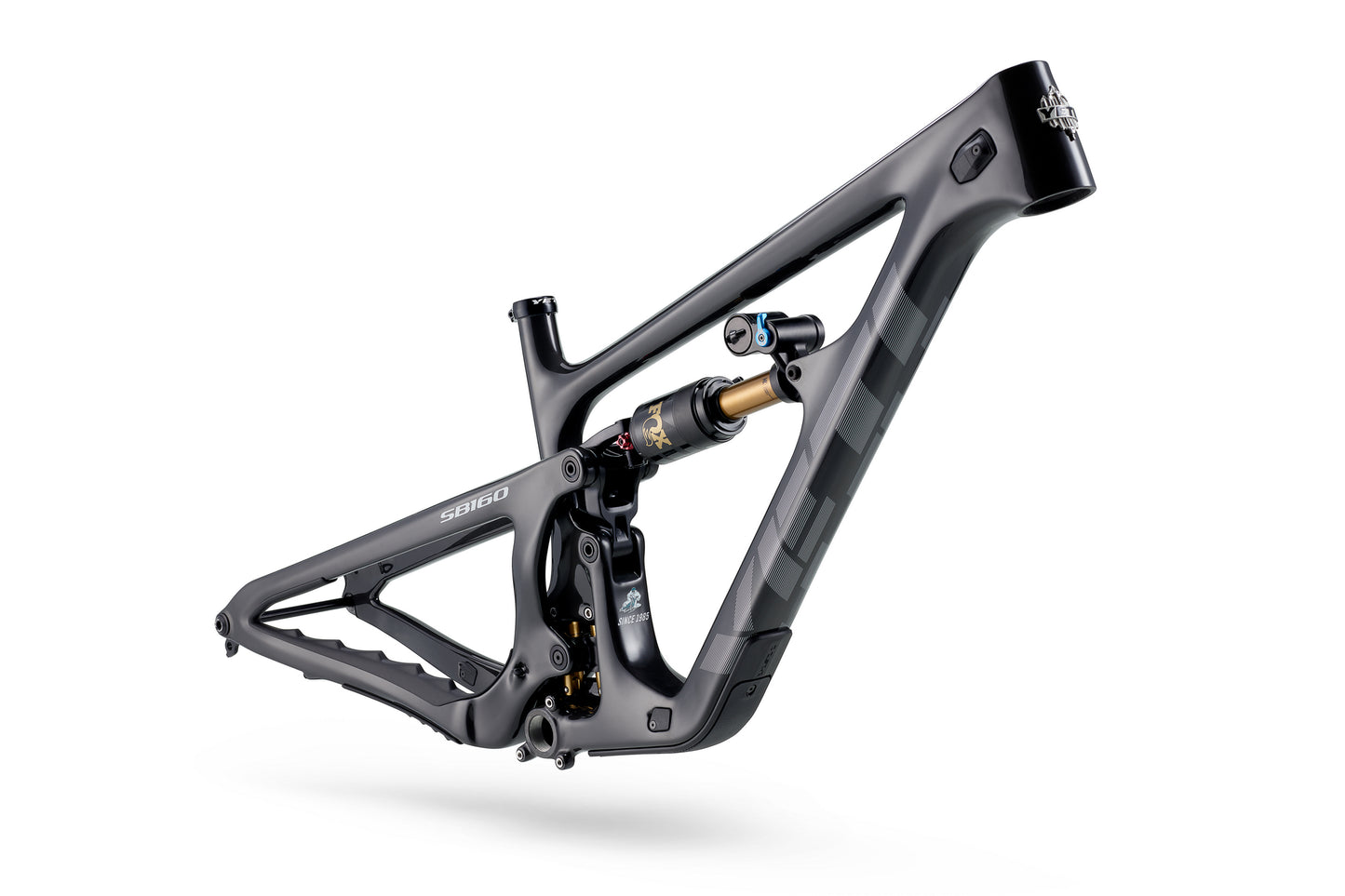 Yeti SB160 C2 29 - Eagle 90 - Fox Factory - Raw Carbon