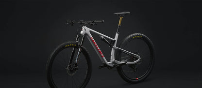 Santa Cruz Blur Carbon XC 29 - GX AXS - Matt Silver - 2024