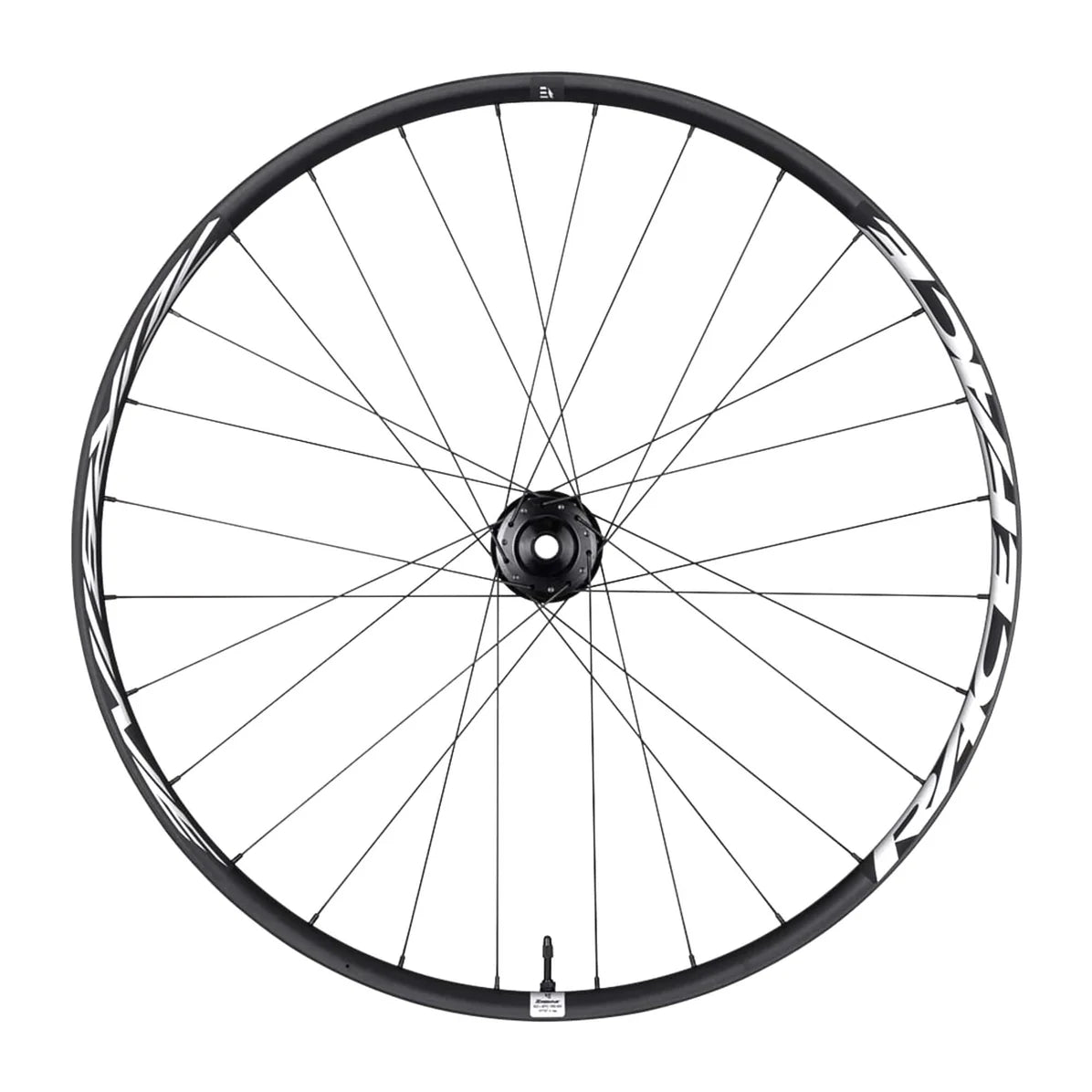 Race Face Turbine 30 29" eMTB Wheel - Rear