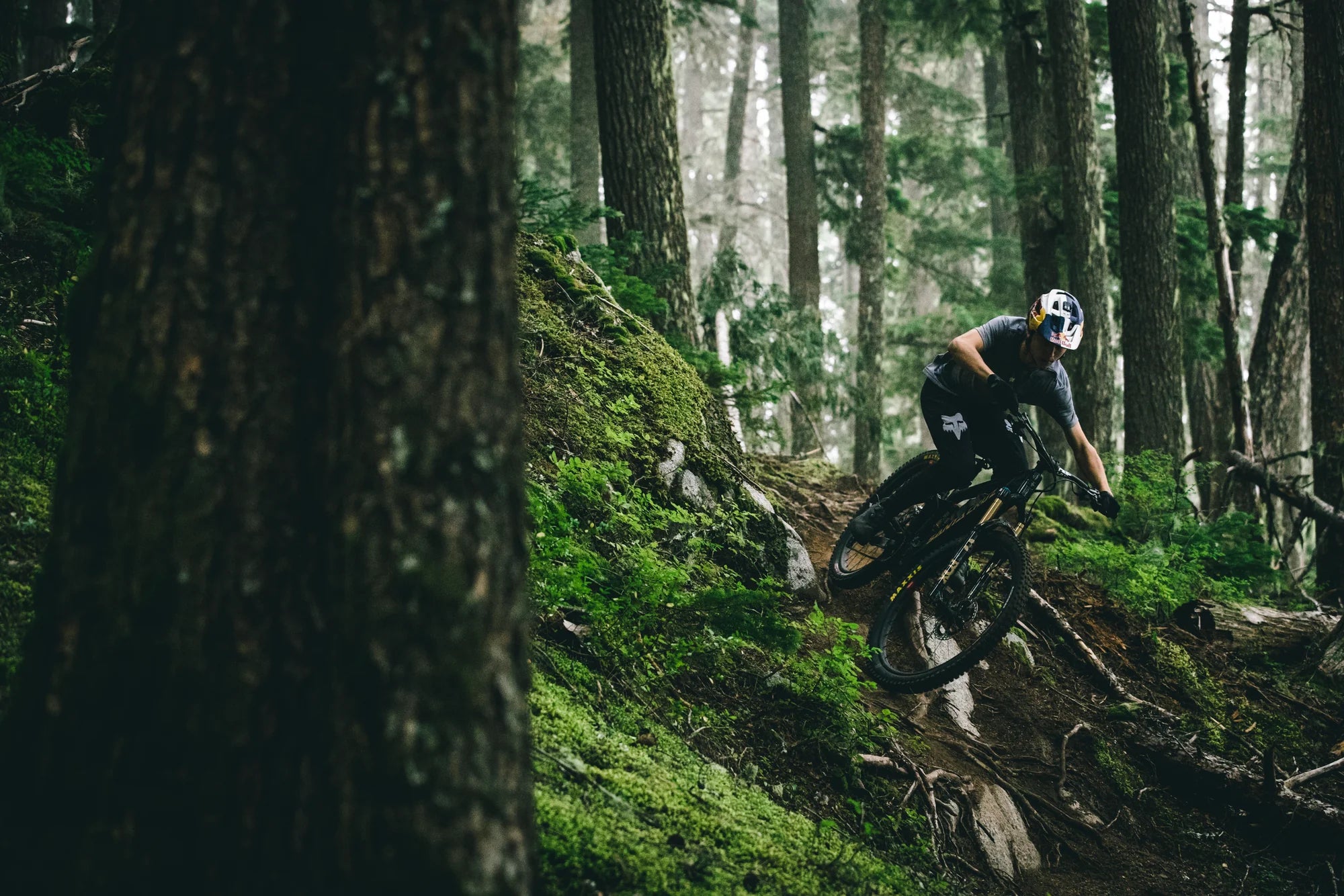 Santa Cruz Vala Carbon MX - Thumbnail 3