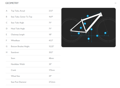 SE Bikes Big Flyer 29 - Iced Out Silver - 2025