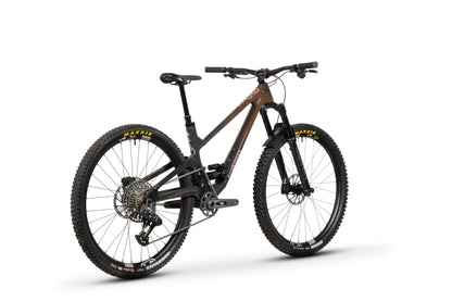 Forbidden Druid 2 29 - Chocolate Starfish