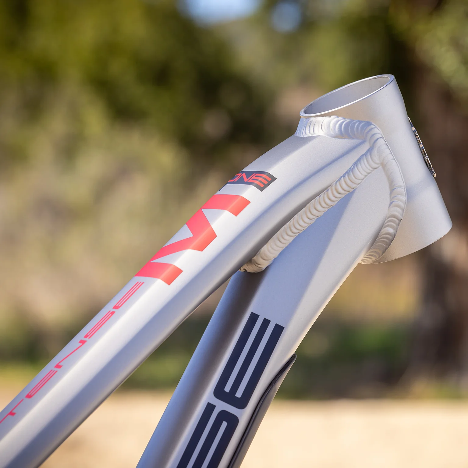 Intense M1 Frame + Shock - Titanium - 2026 – Cambria Bike Intense M1 Frame + Shock - Titanium - 2026 – Cambria Bike