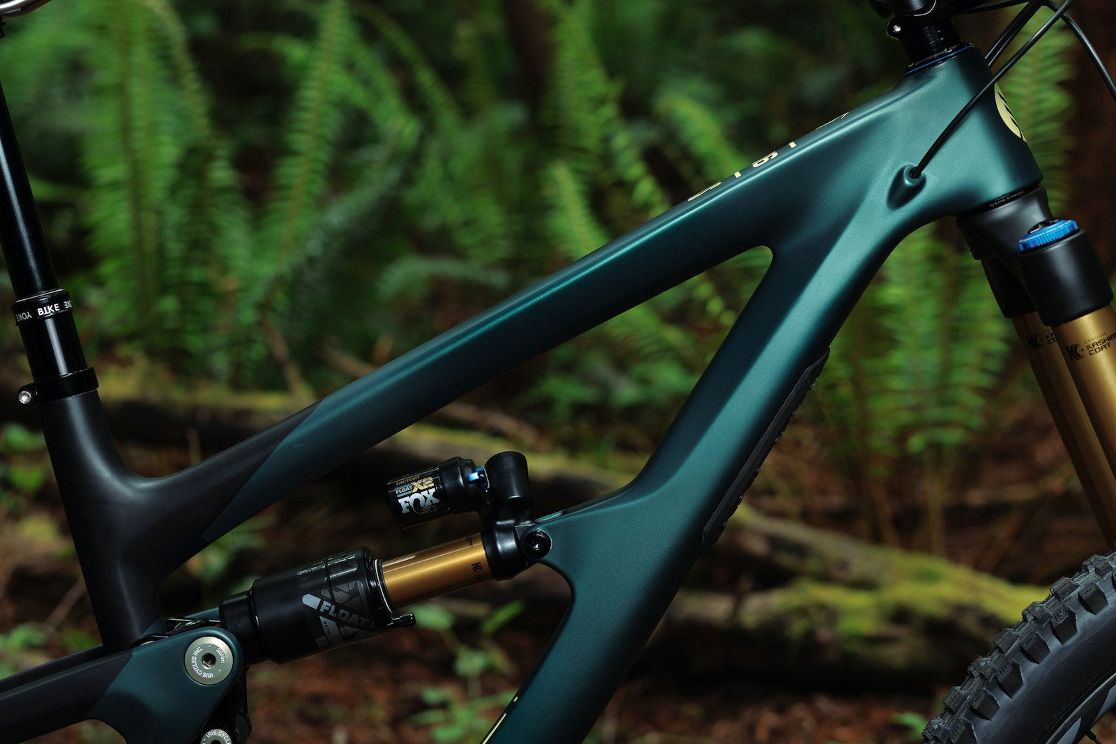 Ibis-Cycles-HD6-Enchanted-