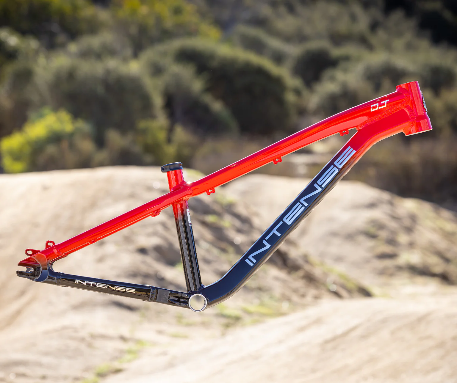 Intense DJ 26 Frame - Gloss Red to Black Fade - 2026 – Cambria Bike