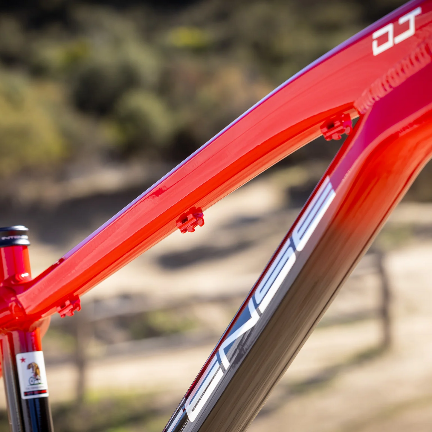 Intense DJ 26 Frame - Gloss Red to Black Fade - 2026