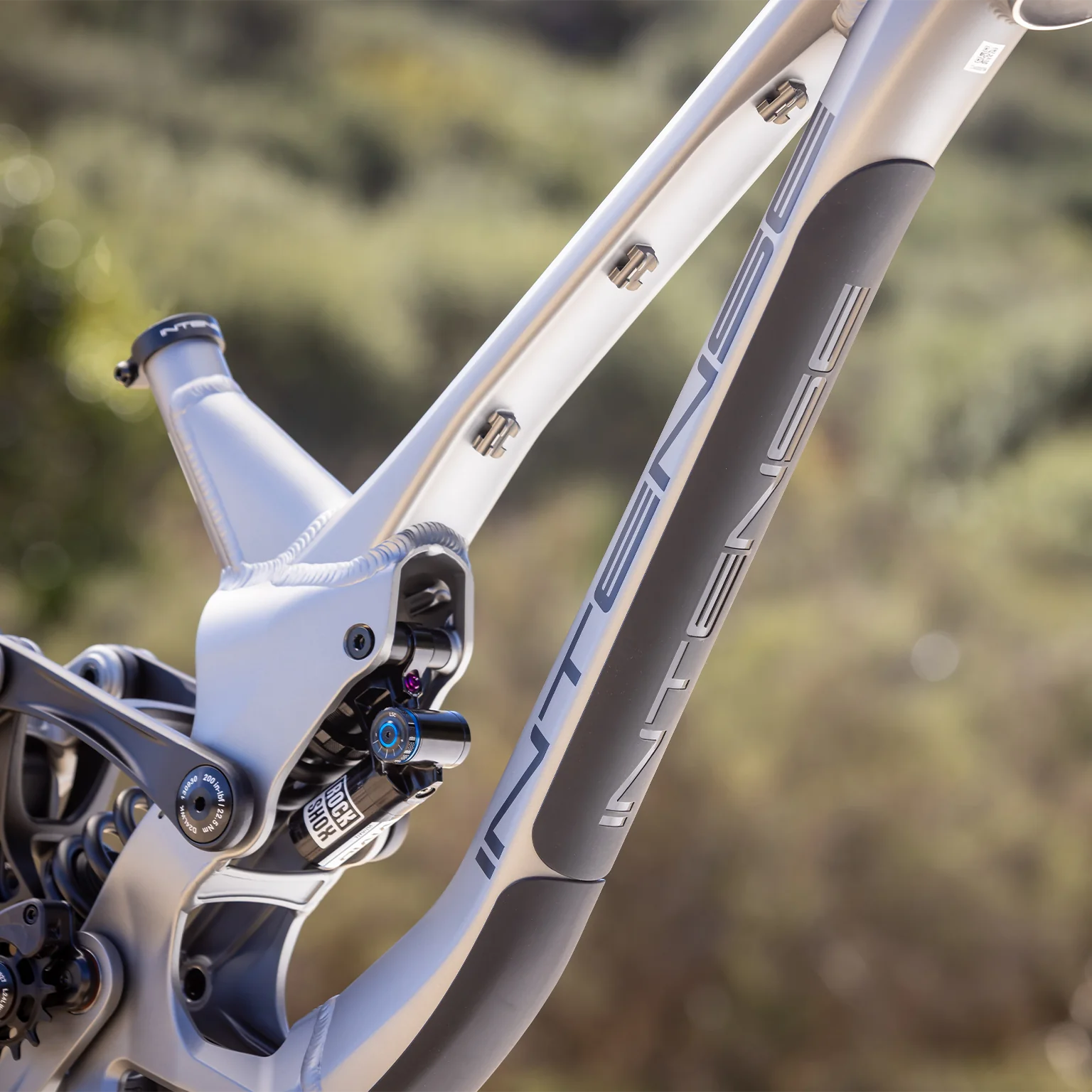 Intense M1 Frame - Thumbnail 4