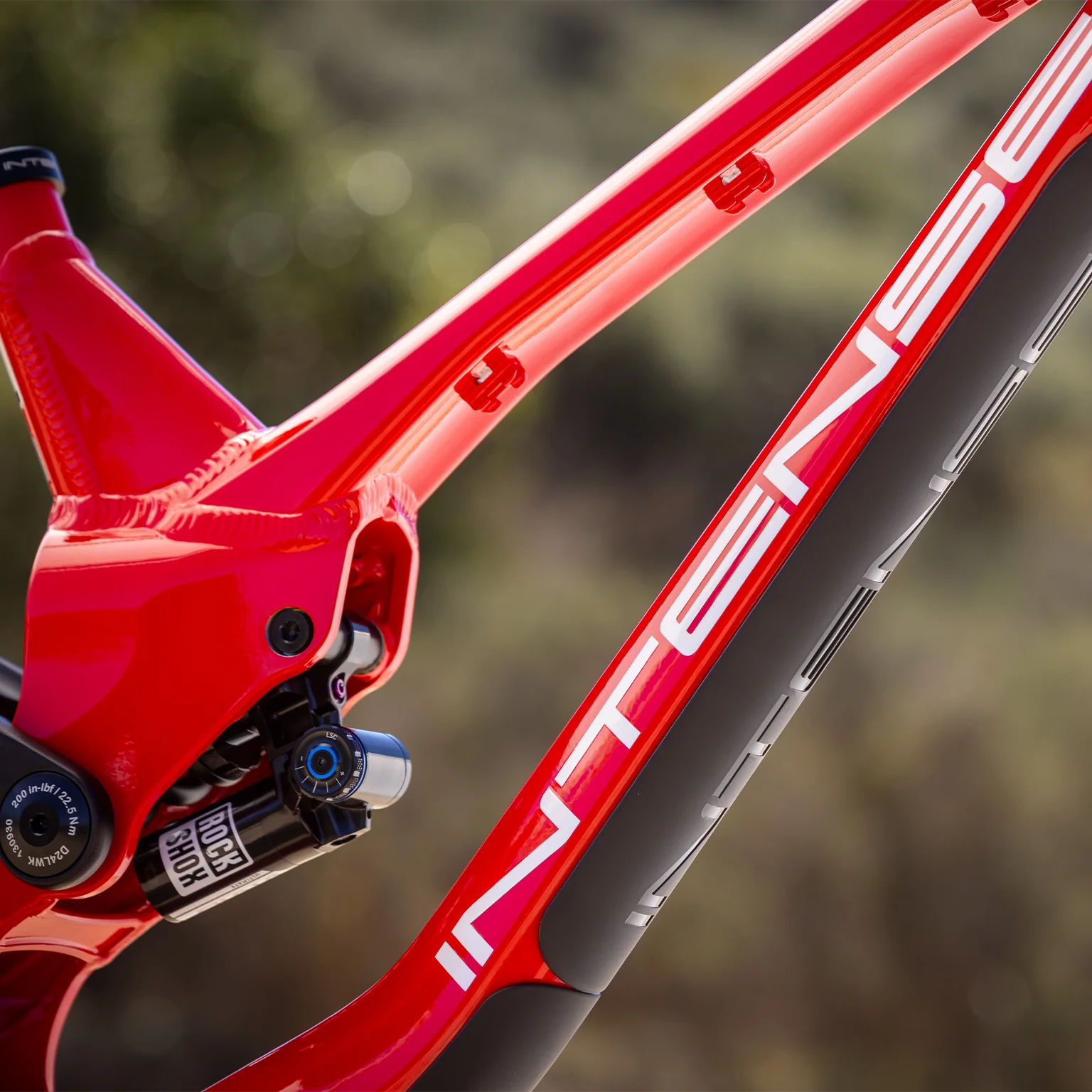 Intense M1 Frame + Shock - Red - 2026 – Cambria Bike