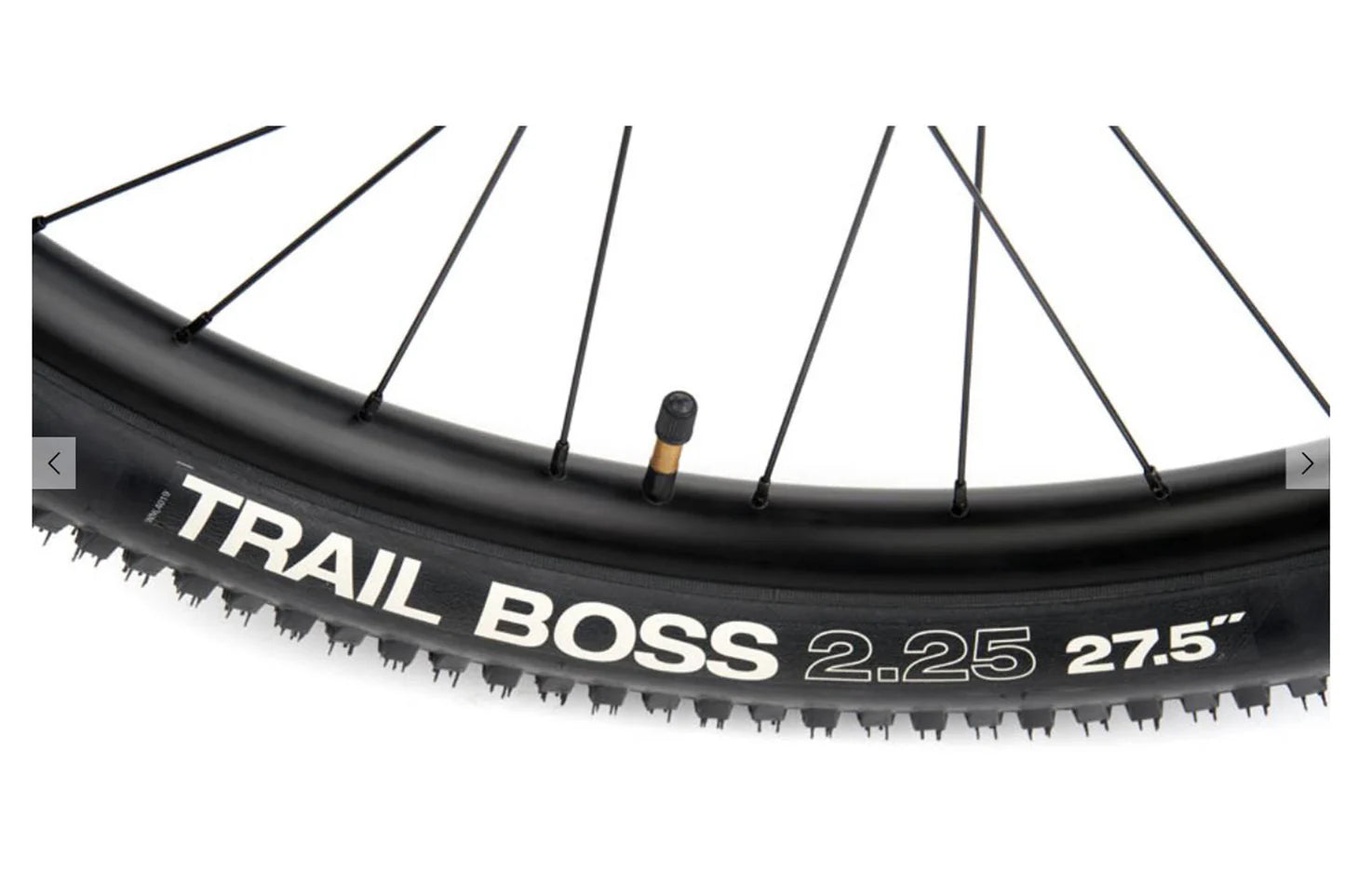 Kona Lana'I 29 - Light Blue - Blem