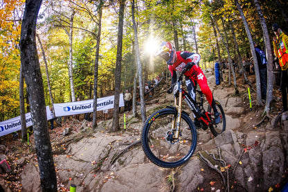 Santa Cruz V10 CC MX - DH S Kit - Gloss Kelp Green - 2025