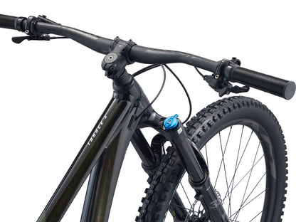 Giant Trance X 29 1 - Panther - 2022