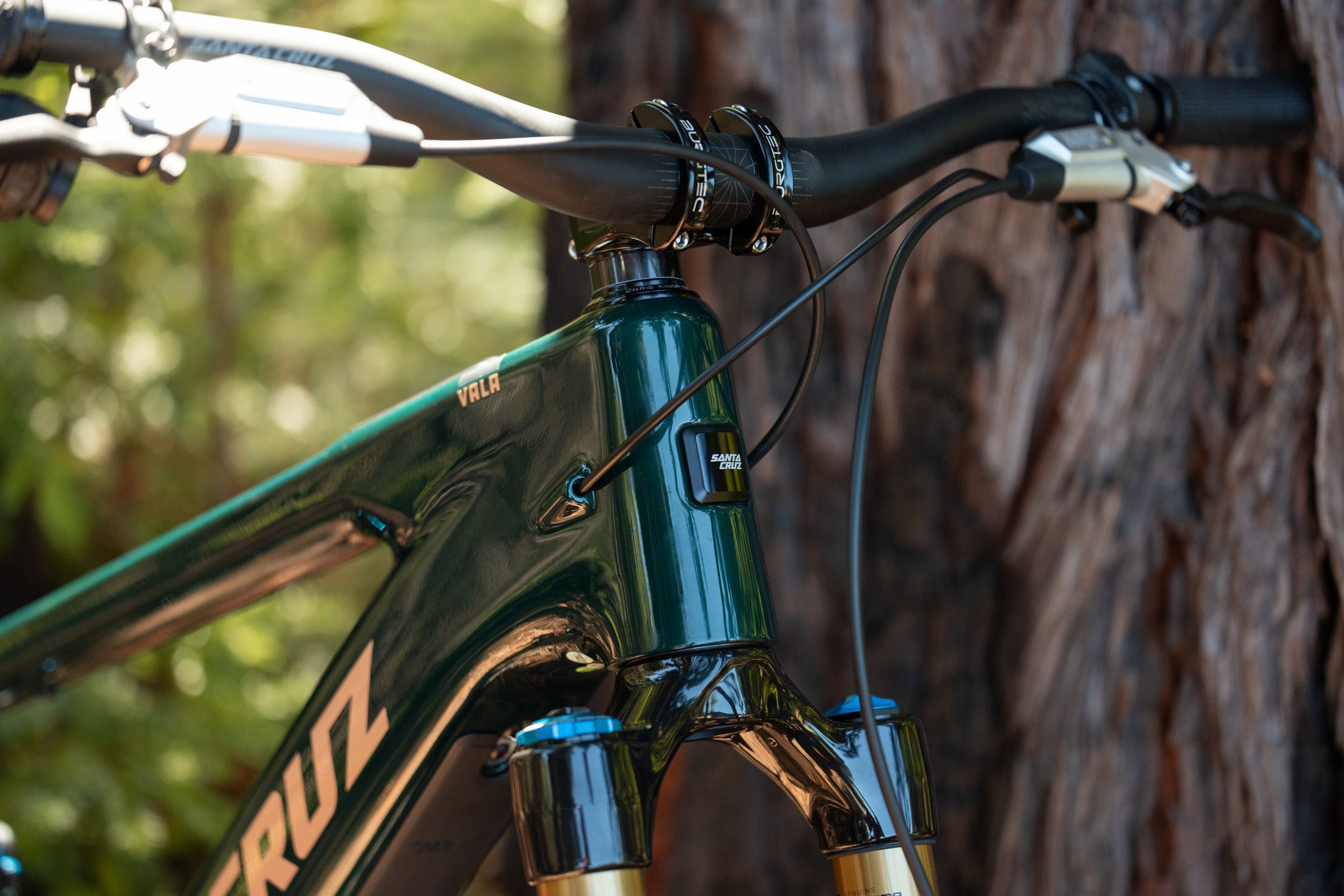 Vala Carbon MX - Thumbnail 5