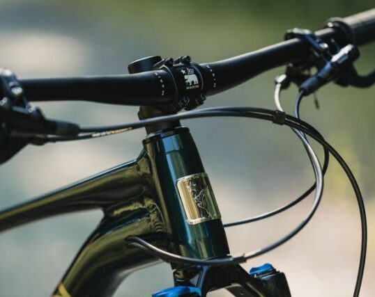 Marin Team Marin 2 - 29 - Metalic Green - 2025