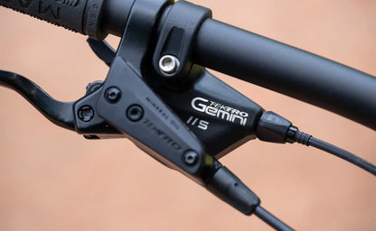 Marin Rift Zone JR 24" - Green-Yellow Fade - 2025