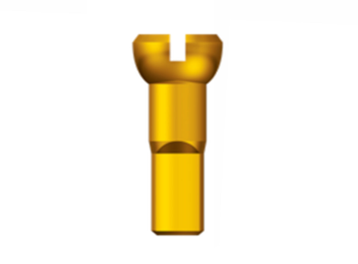 Sapim Aluminum Polyax 14g Nipple - Gold – Cambria Bike