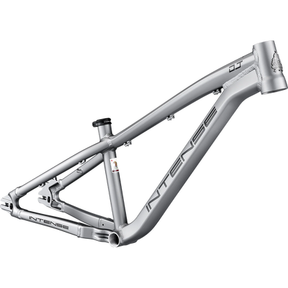 Intense DJ 26 Frame - Titanium - 2026 – Cambria Bike