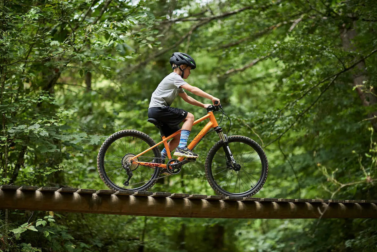 Vaast Bikes Y/1 Mountain 24