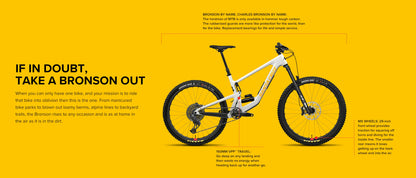 Santa Cruz Bronson Carbon MX - D Kit - Fox PS/SDS+ - Gold