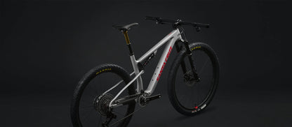 Santa Cruz Blur Carbon XC 29 - GX AXS - Matt Silver - 2024