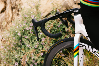 Continental Archetype 700c Folding Road Tire - Limited Edition