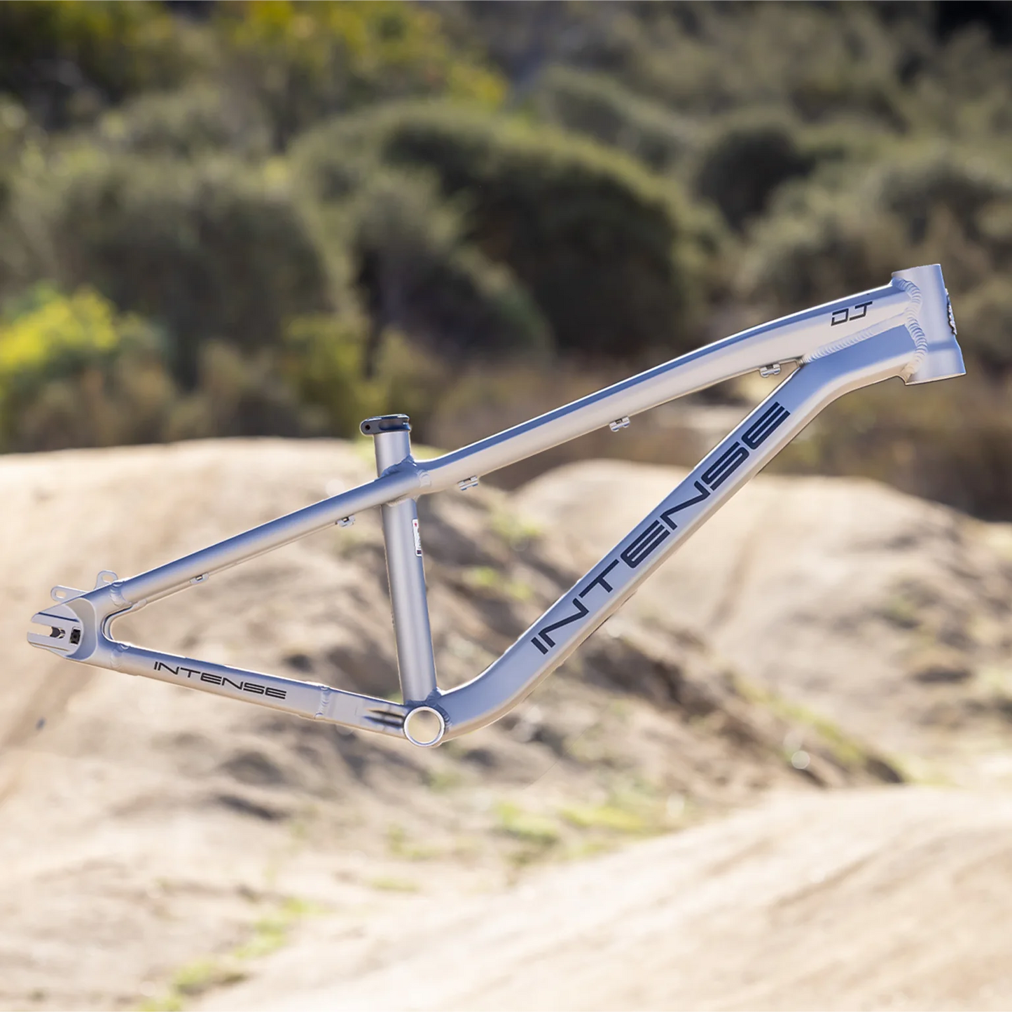 Intense DJ 26 Frame - Titanium - 2026