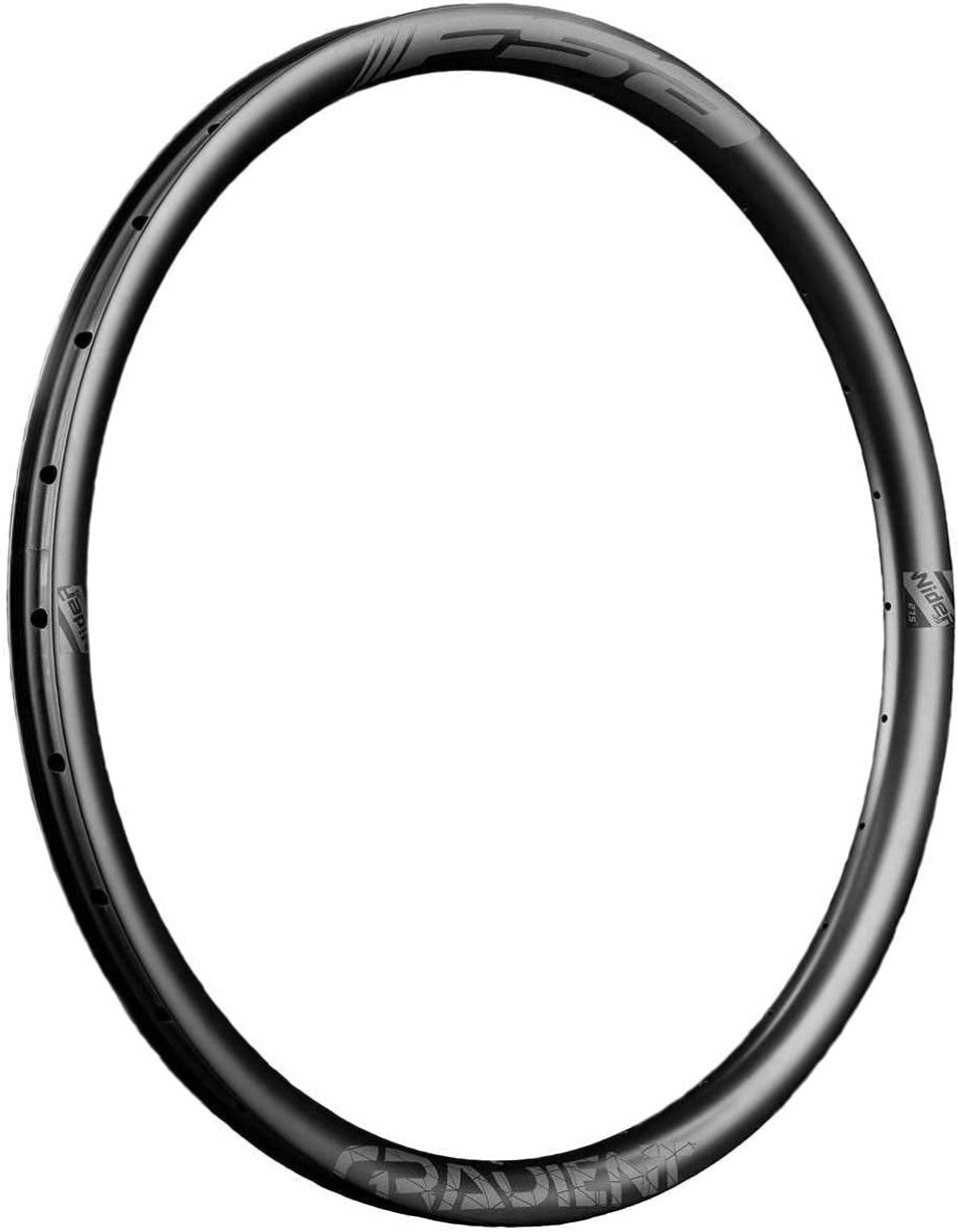 FSA Gradient WideR 29" Carbon MTB Rim